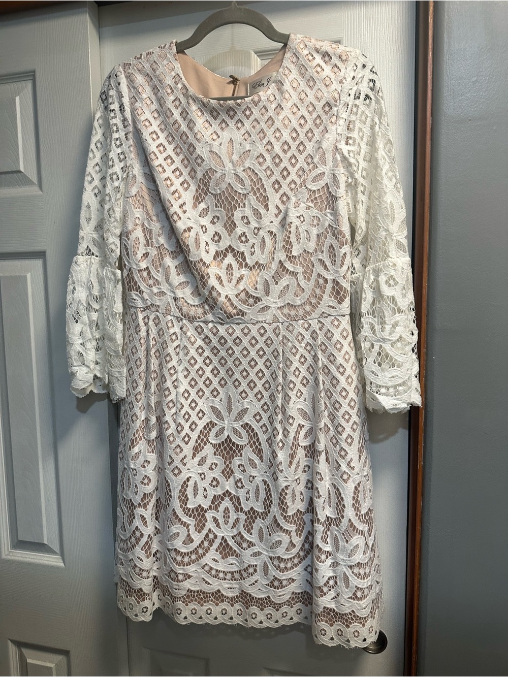 Eliza J White Lace Overlay Dress with Nude Lining